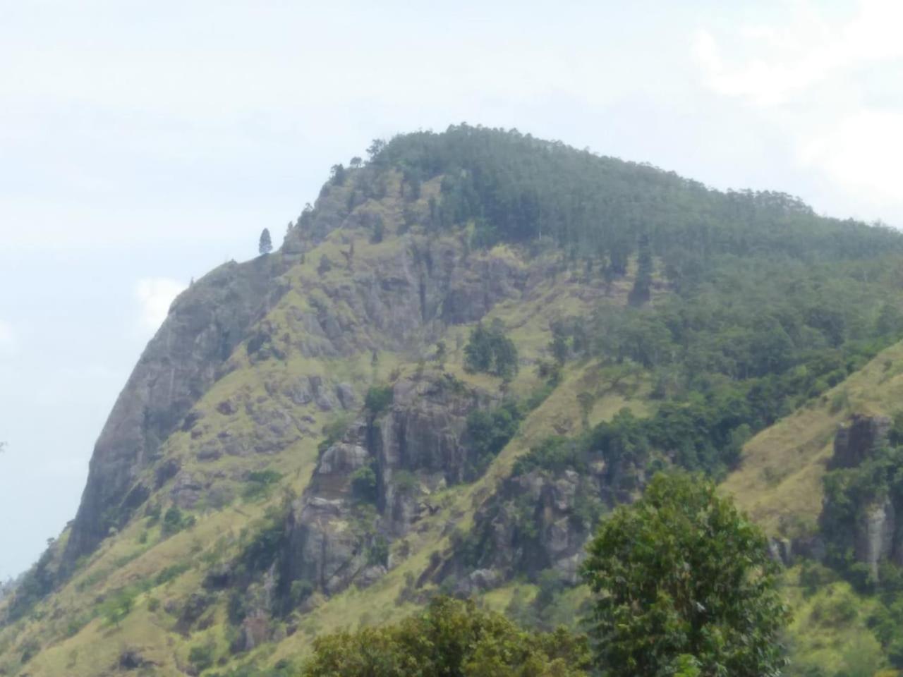 Green View Ела Екстериор снимка